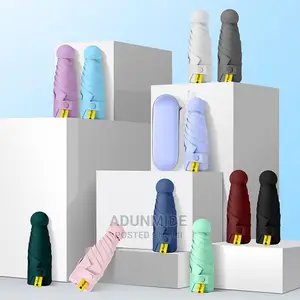 Foldable Umbrella With Case