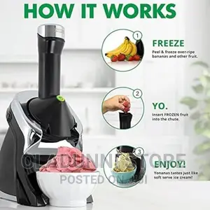 Frozen Fruit Ice Cream