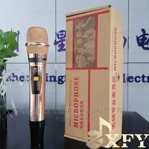 Professional Rechargeable Wireless Microphone