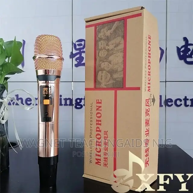 Professional Rechargeable Wireless Microphone
