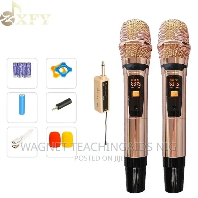Professional Rechargeable Wireless Microphone