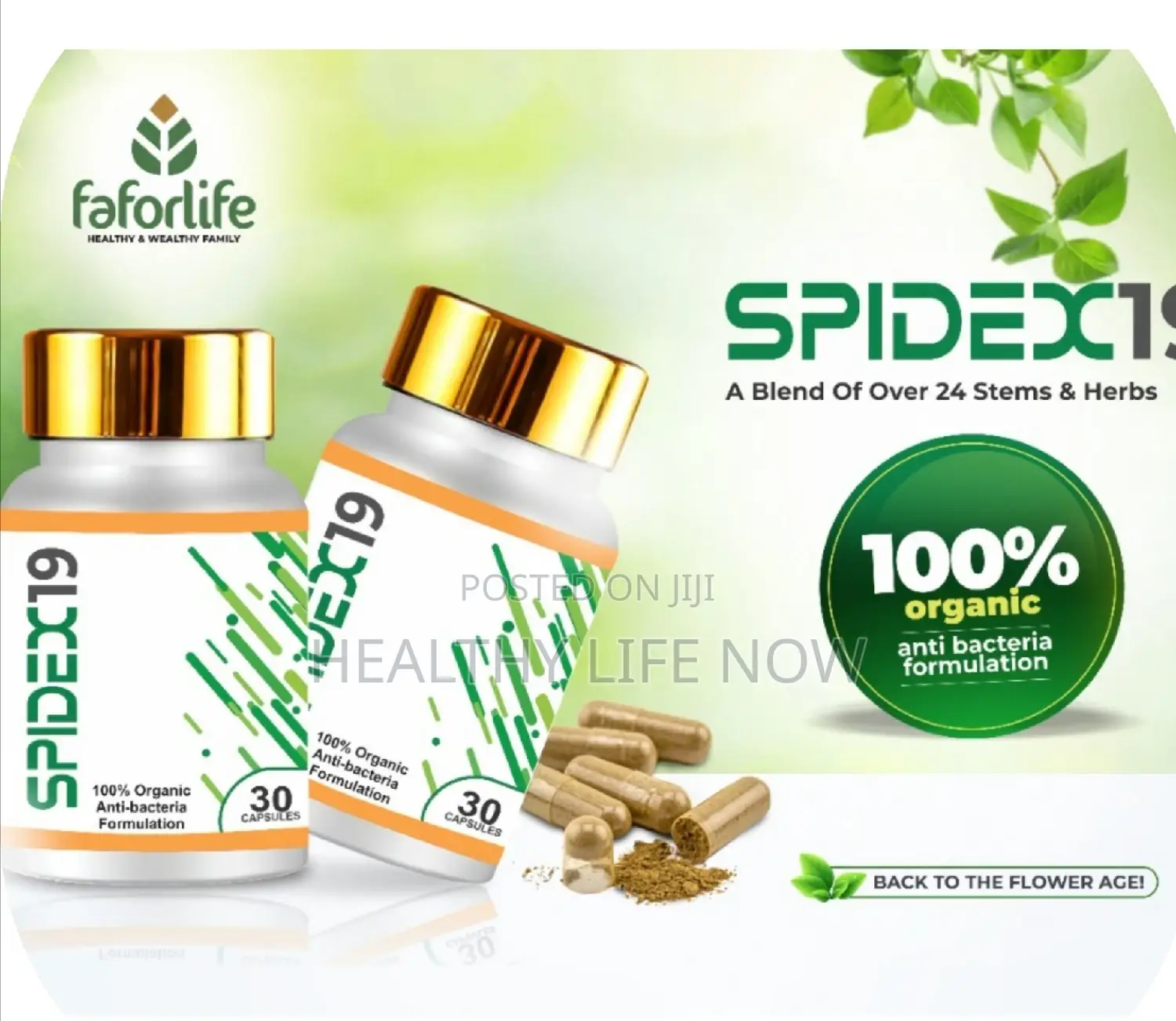 Spidex19 Anti Bacteria Formulation