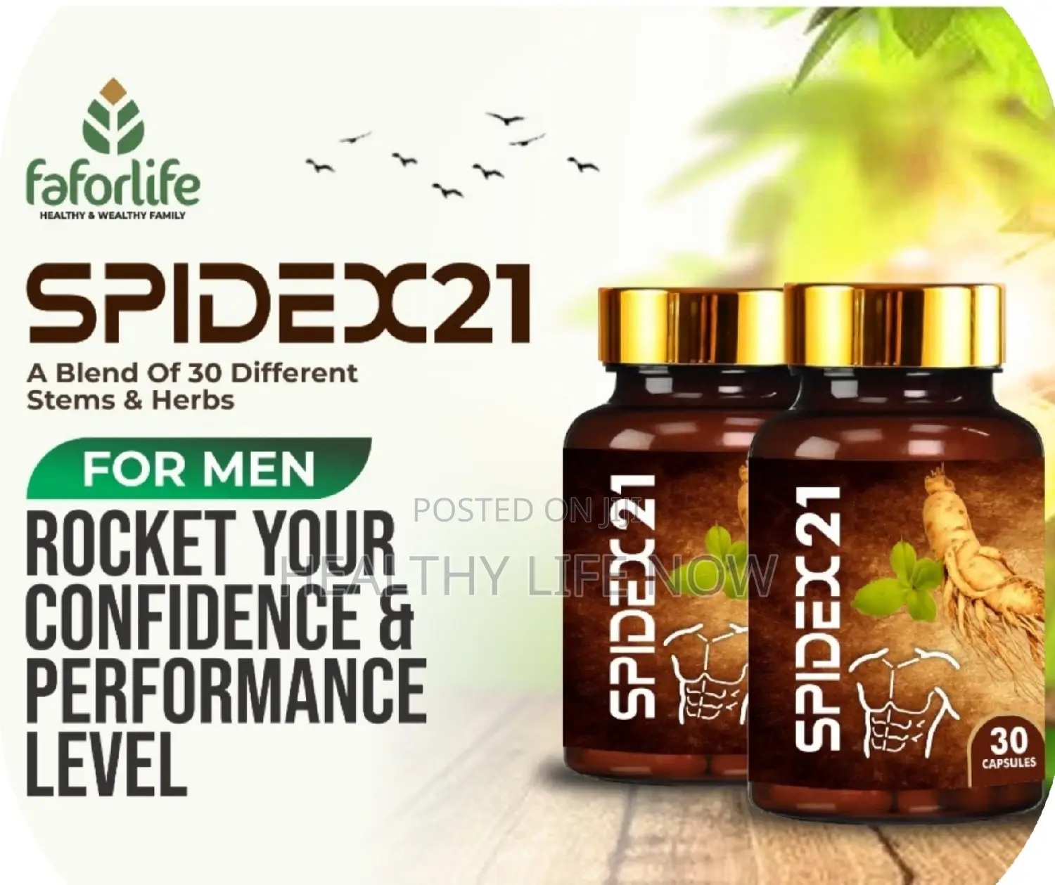 Spidex21 Blend of 30 Stems and Herbs