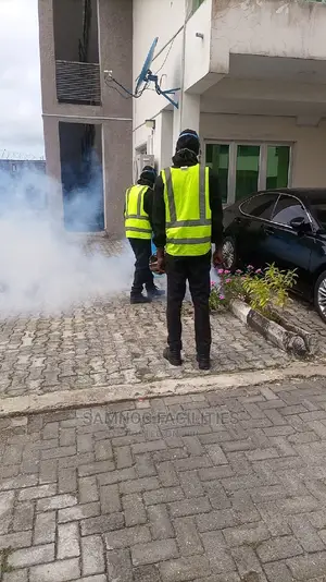 Bedbugs/Mosquitoes/Flies/Snakes/Rats Termites Fumigation