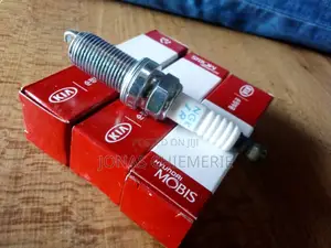 Original Plugs for Hyundai and Kia