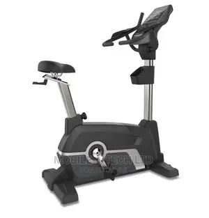Commercial Upright Bike