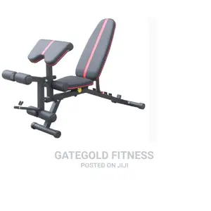 Wt-B10 Multi Adjustable Bench