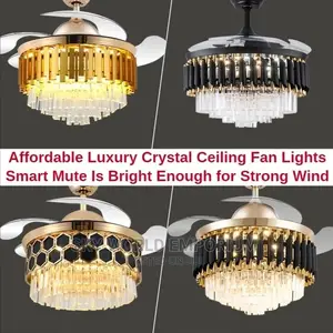 Fan Chandelier Light