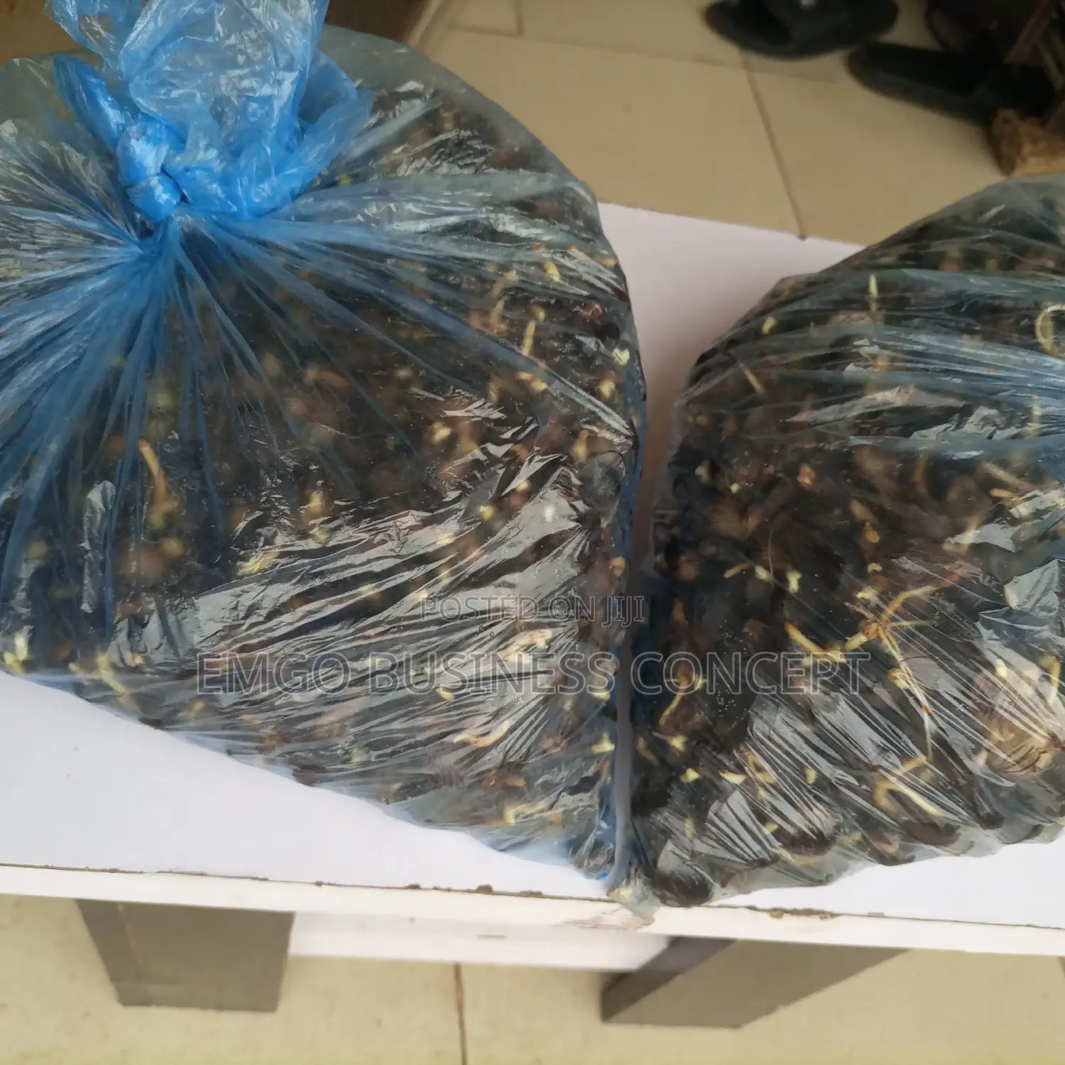Tenera Palm Sprouted Nuts