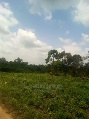 Acres of Land at Mota Behind New Mile 12 Ikorodu Lago S