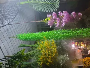 Dropping Flowers 