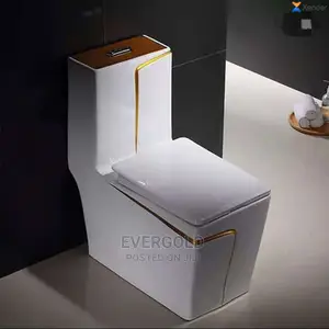Eagle Standard England Water Closet