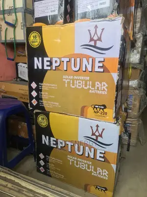 220ah 12v Neptune India Tubular Battery