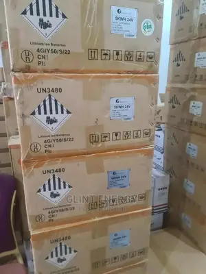 5KWH 24V Lithium Iron Battery LPBF24200-M