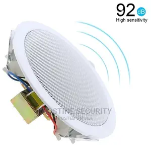 Ceiling Speaker 30W
