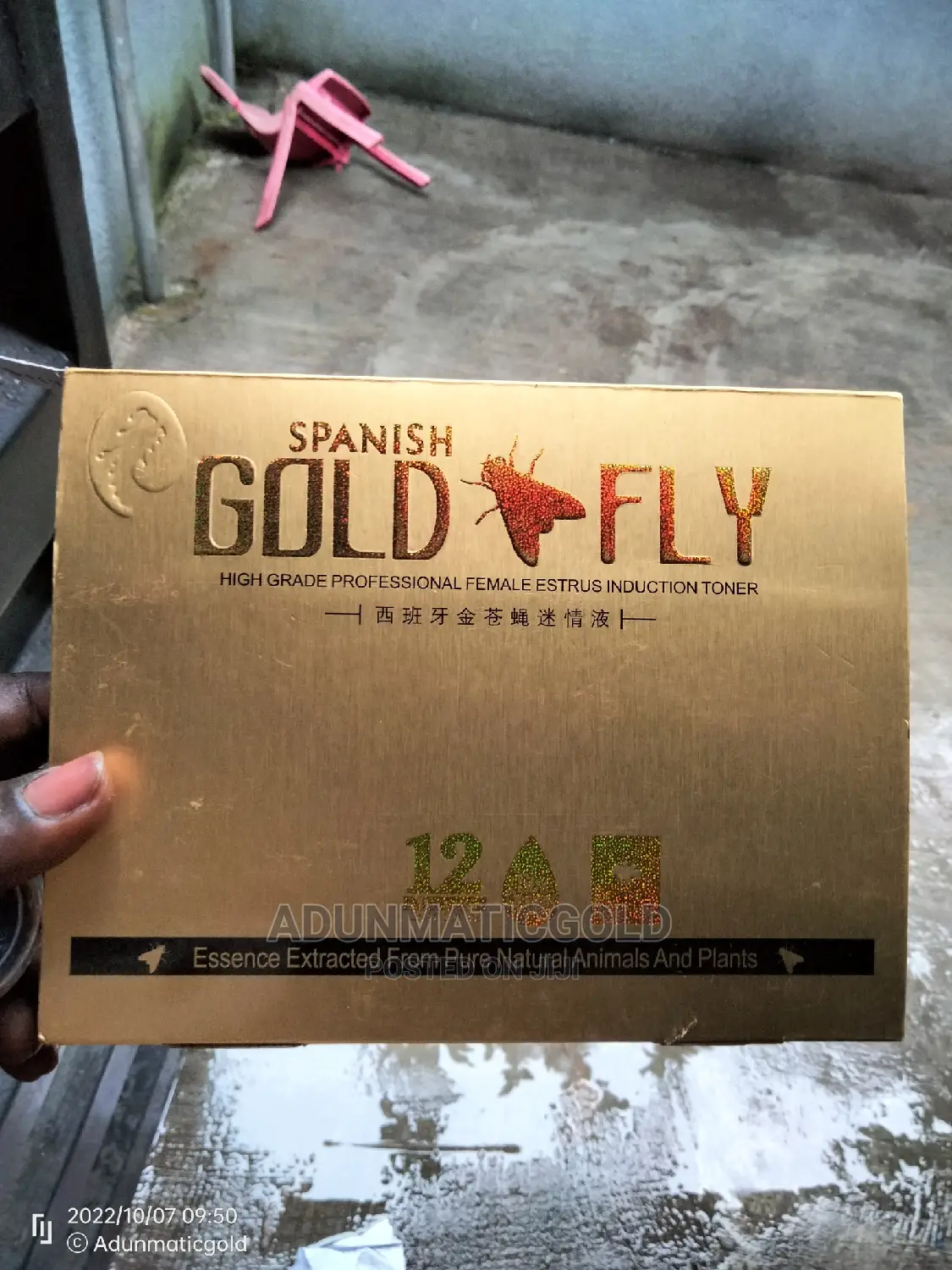 Gold Fly Spanish