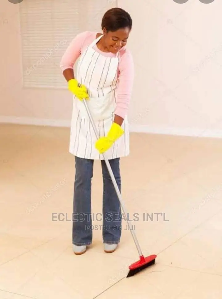 Professional Cleaners