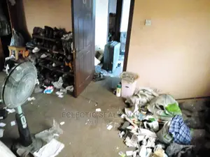Professional Cleaning Services
