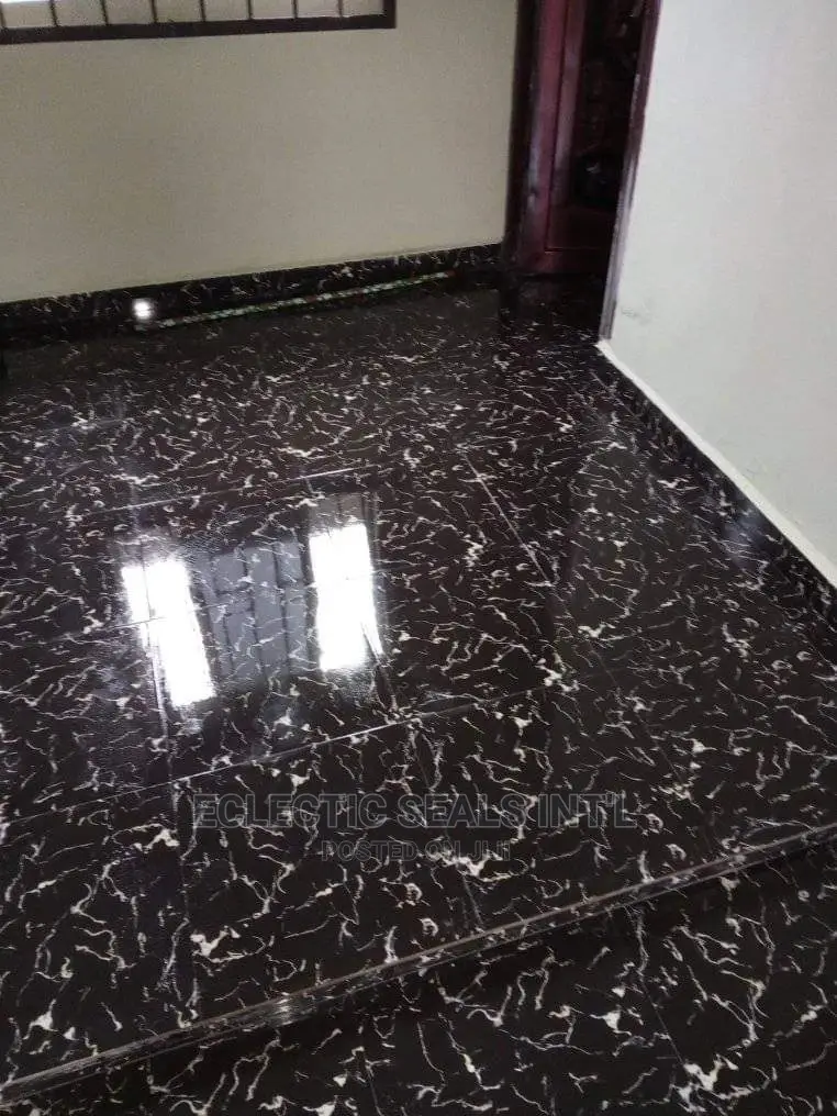 Professional Cleaning Services