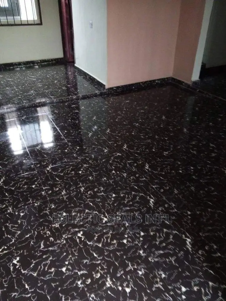 Professional Cleaning Services