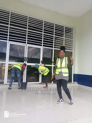 Professional Cleaning Services
