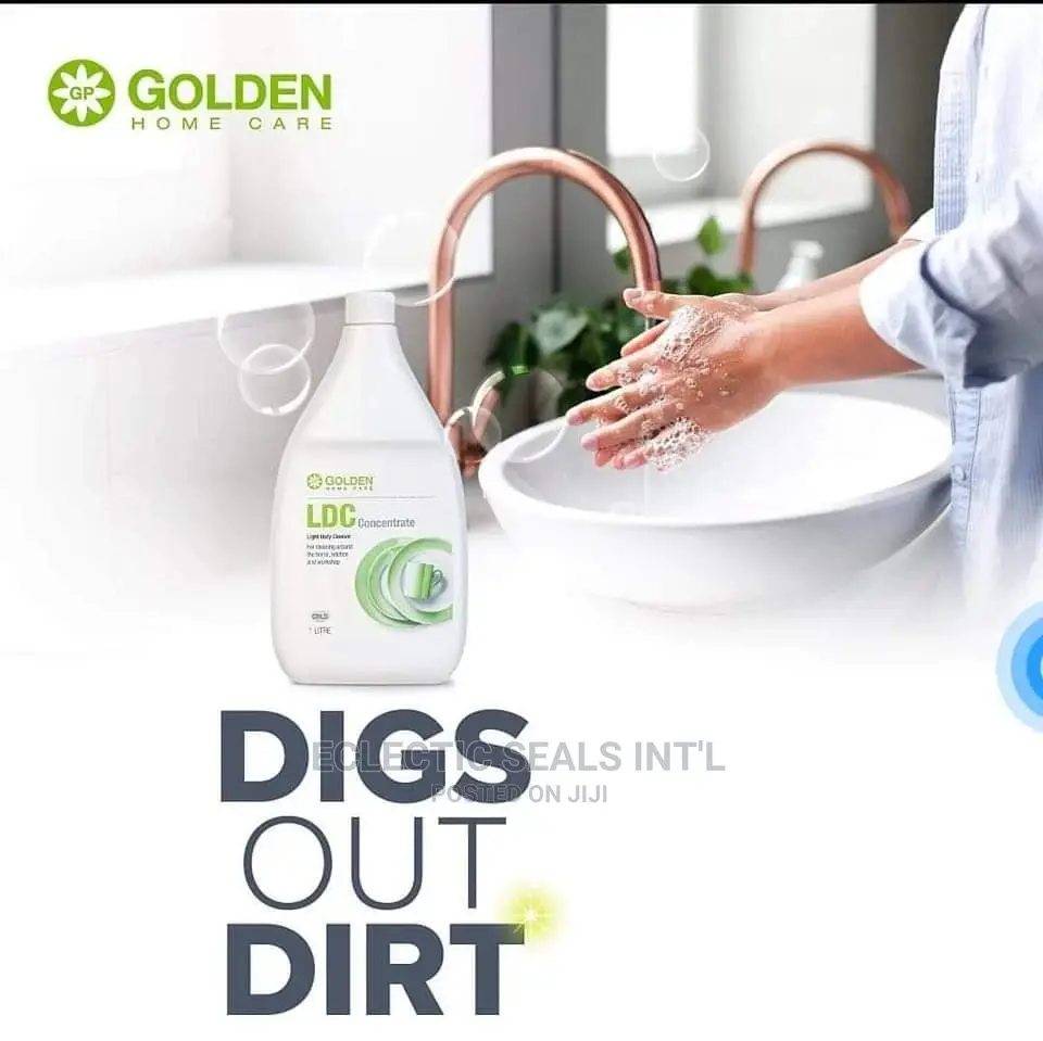 Professional Cleaning Services
