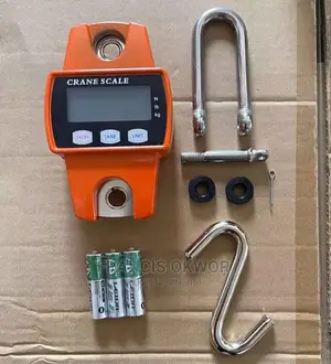 300kg Mini Crane Digital Scale