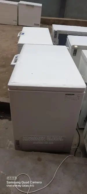 New Model Liebherr Premium From Germany 350litre