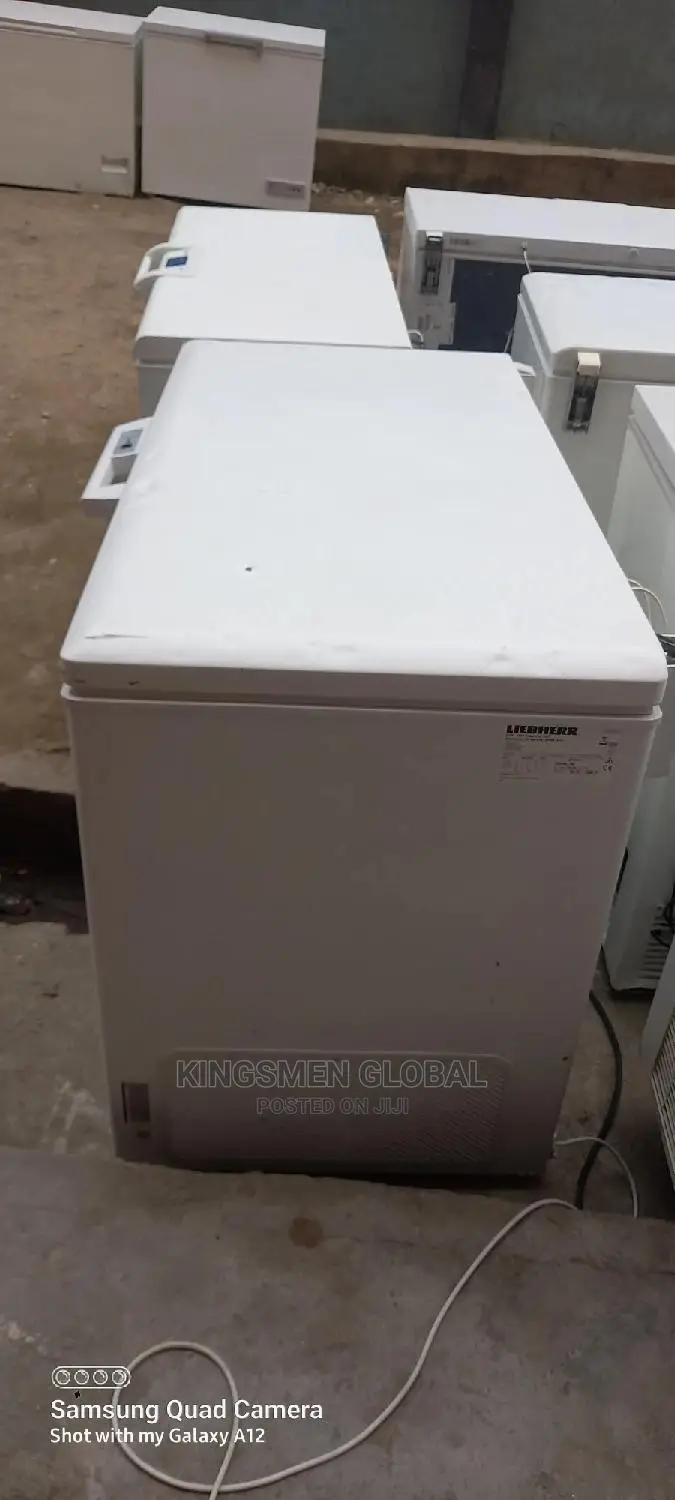 New Model Liebherr Premium From Germany 350litre