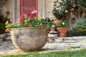 Vases With Flowers