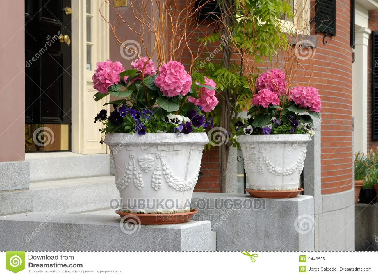 Vases With Flowers