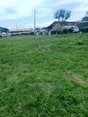 Land With Receipt and Survey for Sale in Alimosho
