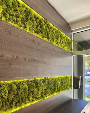 Wall Flowers Designs and Decor