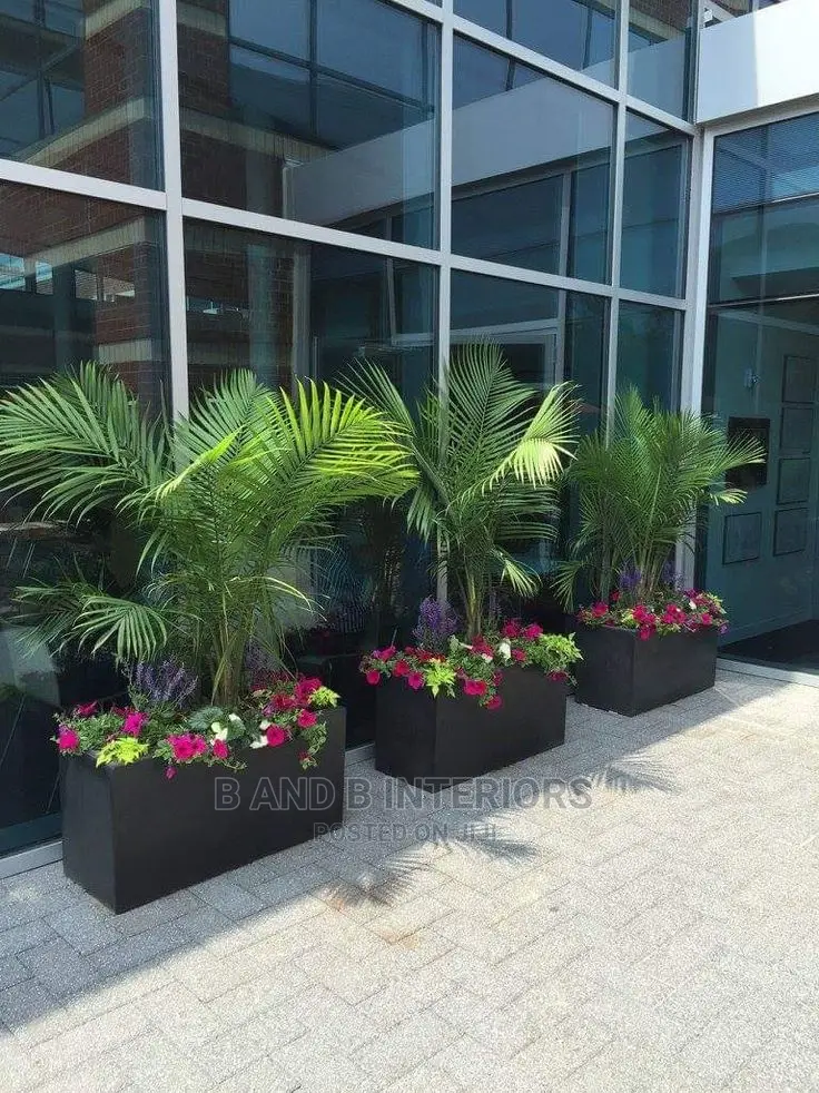 Wall Flowers Designs and Decor