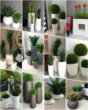 Wall Flowers Designs and Decor