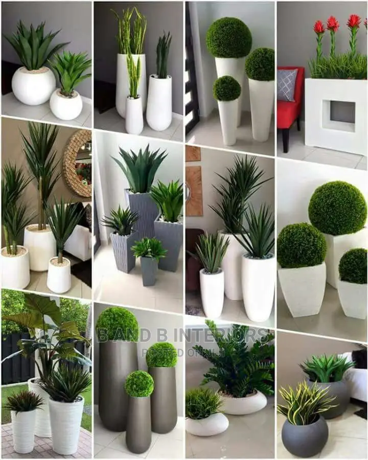 Wall Flowers Designs and Decor