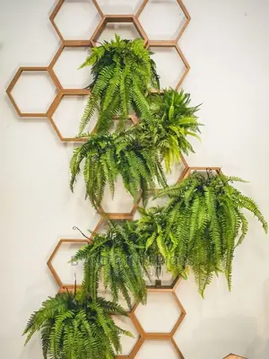 Wall Flowers Designs and Decor