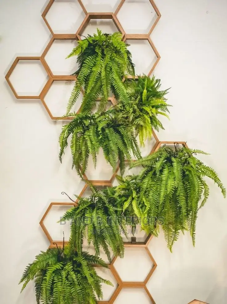 Wall Flowers Designs and Decor