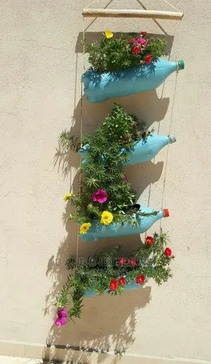 Wall Flowers Designs and Decor