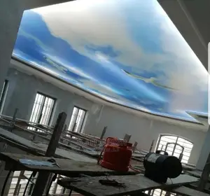 Beautiful Stretch Ceiling Design