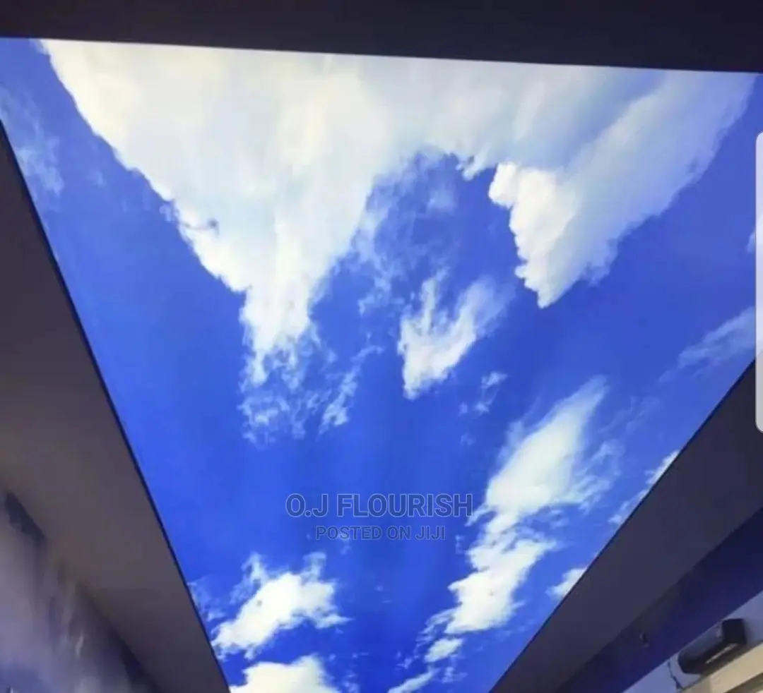 Beautiful Stretch Ceiling Design