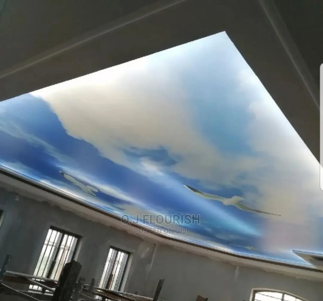 Beautiful Stretch Ceiling Design