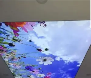 Stretch Ceiling Design Super Adorable