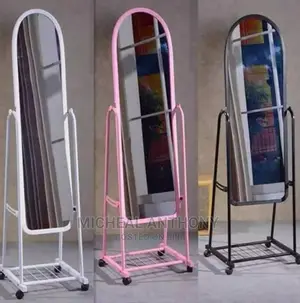 Moveable Standing Mirrio