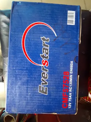 Everstart Battery