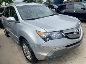 Acura MDX 2009 Silver