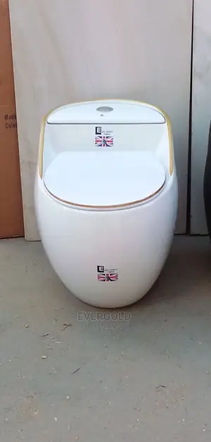 Eagle Smart Water Closet With Original Flushing System