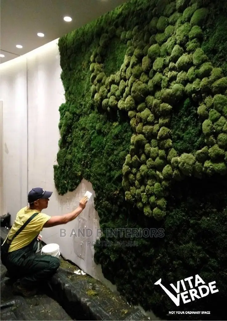 Wall Flowers Designs and Decor