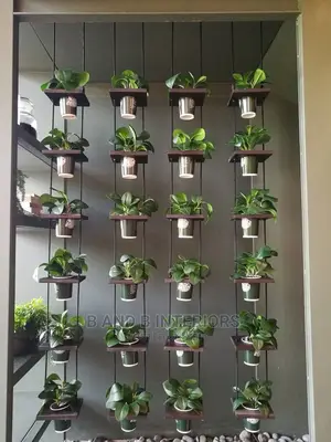 Wall Flowers Designs and Decor