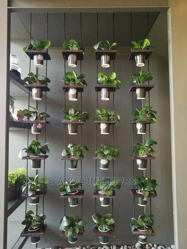 Wall Flowers Designs and Decor